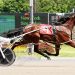Fillies battle in $151,800 NYSS at Yonkers 2 Twin B Joe Fresh tops two-year-olds in NYSS