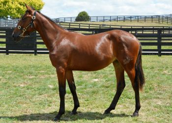 In The Spotlight signs off campaign in style