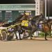 Trotting colts square off in $133,300 ISS action