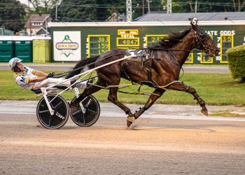 JD beats Pleaseletmeknow in $59,200 NYSS