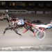 Jenny Lake too strong in Open Trot