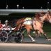 Joviality S makes history in $280,904 Yonkers Trot victory 3 Joviality S makes history in $280,904 Yonkers Trot victory