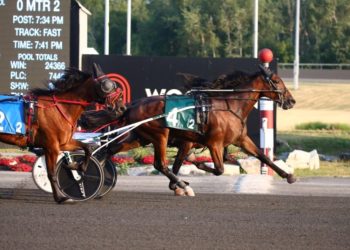 Nothing but net for Jokic and Lowry in Millard Farms