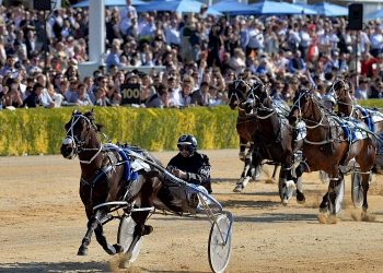 Changing the NZ Cup to a handicap makes no sense