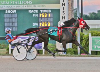 Undefeated two-year-old takes another in ISS