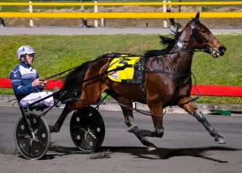 Weekly spotlight on breeding