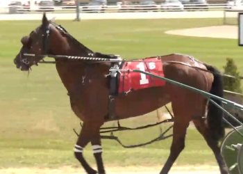 Mach Four wins first race at five