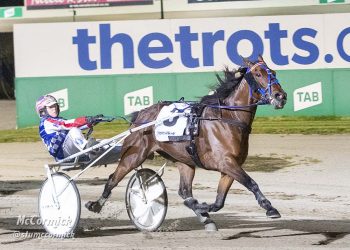 Shepparton locals will revel under metro lights