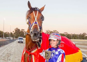 Classy former Kiwi trotter retired after 28 wins