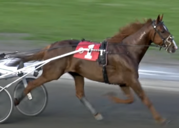 Mile Hill Willie returns a winner