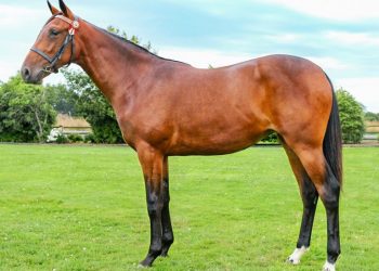 Sales topper to debut on Friday