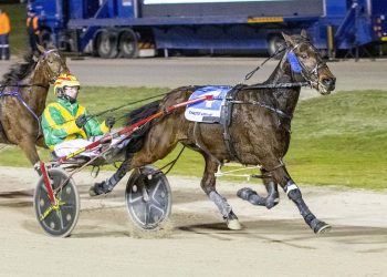 Top class trotter now ‘knows he’s good’