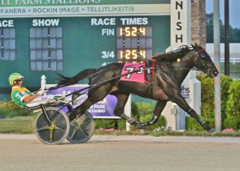 Five straight as Ponda Adventure wins another leg