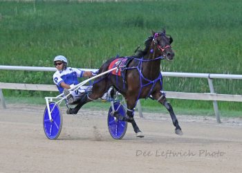 Sophomore gelding now four-for-four in Minnesota