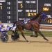 High Caliber mile in Aces Open