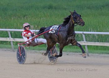 Strong winning effort in Minnesota-sired Trot