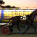 Record broken among stakes action at Truro