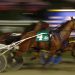Therealprincess qualifies at Mohawk 2 Therealprincess adds Stanfield Memorial to perfect season