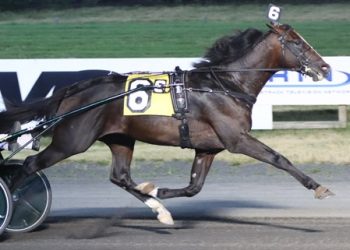 Star trotters shine in Graduate Finals