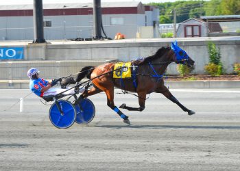 Remarkable De Vie too good again