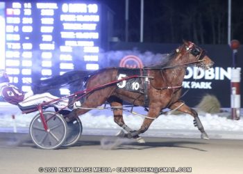 Saulsbrook Victor makes fruitful Georgian trip