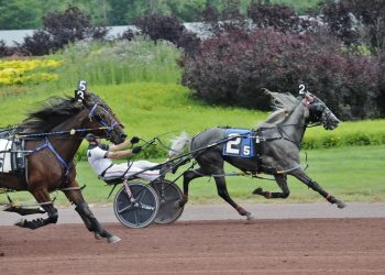 Two wins in four days for Seal O’Neill