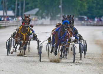 Shelbyville begins stretch drive in Indiana Fairs