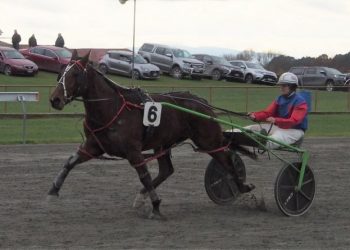 Owners shouting after Speights On Tap victorious