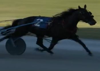 Supervisethemoment’s good form rolls on