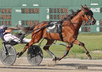 Track record, series sweep for TheStable.ca