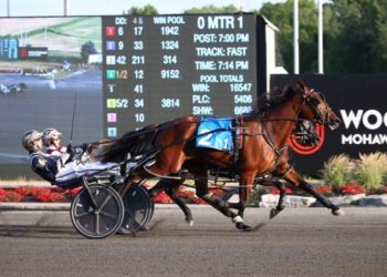 Six-figure buy impresses in stakes debut