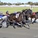 Niggling issues put aside to grab feature win