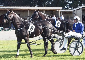 The Black Flash sold for a six figure amount