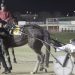 O'Reilly wins the Darren DeFilippi Memorial 2 O’Reilly wins the Darren DeFilippi Memorial