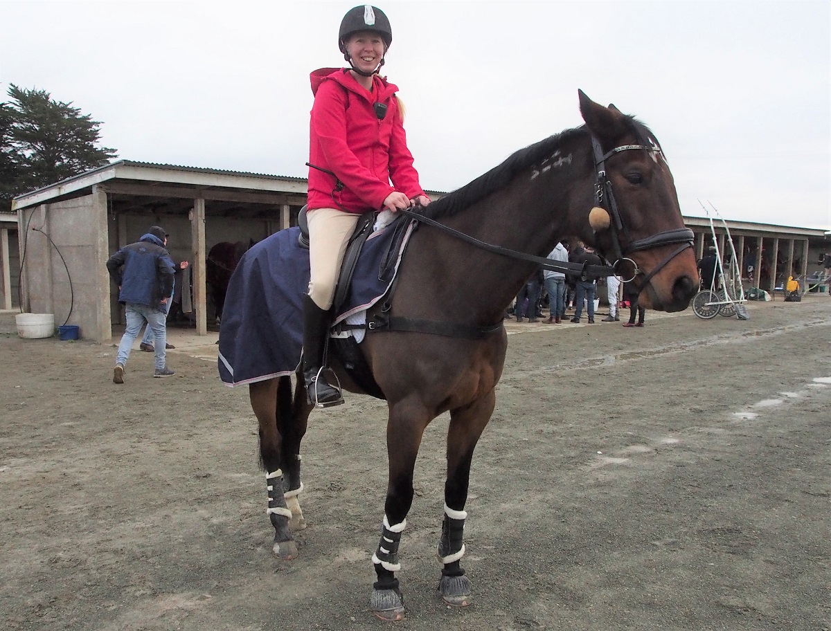 Former NZ Cup winner back on track Harnesslink