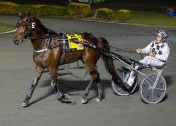 Derby triumph for Tintin In America