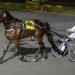 Derby triumph for Tintin In America