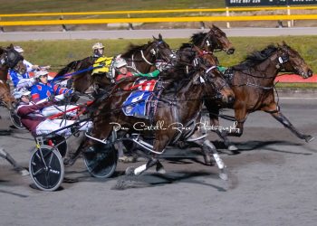 Massive upset by Kiwi outsider