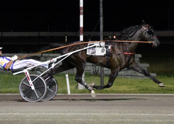 Trio of OSS winners for MacDonald