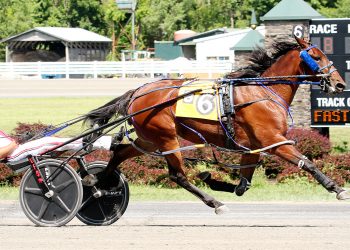 Strong Poison heads $80,000 KY Champion Series