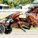 Strong Poison heads $80,000 KY Champion Series