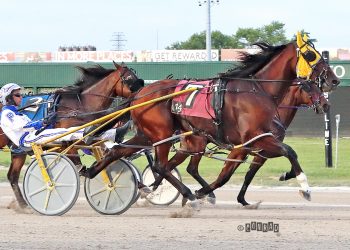 Two-year-olds shine in $600,000 Next Generation