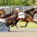 Two-year-old fillies in $116,650 NYSS action