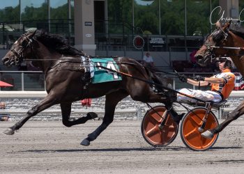 Drive To Deliver does it again in Pop-Up Series