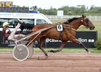 French trotters fetch $143,000