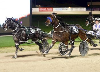 Ideal Kingdom might go one better