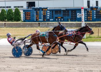 Goldin Kid gets golden trip to win Buffalo series