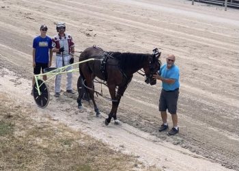 Fillies shine at Humboldt Fair