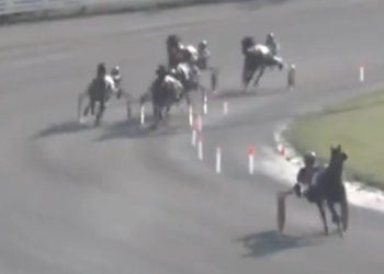 Twelve-year-old returns after four years for career-best win