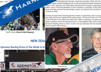 Harnesslink Insider gathers speed